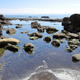Illustration for article titled Pics from the (Ocean Floor): 2018-05-05 at Botanical Beach